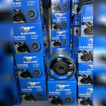 فلاپ دیسک بلک‌هورس