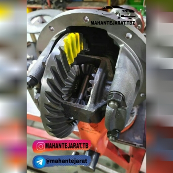 کله گاوی پیکان با گرانول پنیوم هندی🟥🟥🟥🟥🟥🟥🟥🟥🟥🟥