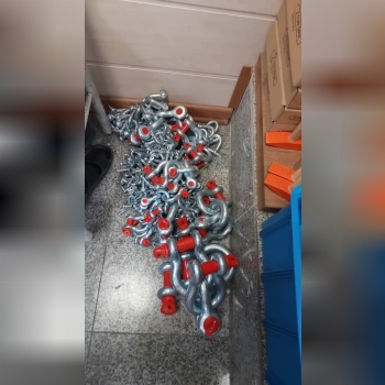 شگل تناژدار (نعل اسبی)