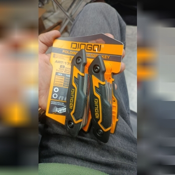 آلن دو قلوی دسته فانتزی دینگی