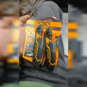 آلن دو قلوی دسته فانتزی دینگی تعداد در کارتن 120 ع