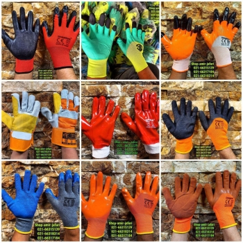 پخش عمده TANGWANG 