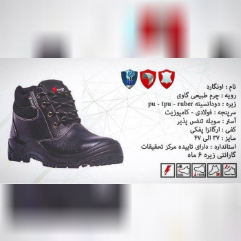 پوتین پادکس