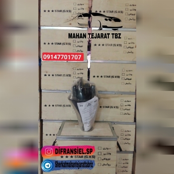 کله گاوی پیکان . آردی . روآ معمولی روآ