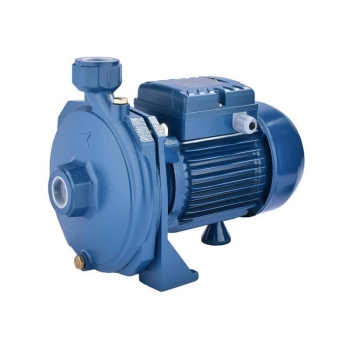  نیم اسب بشقابی زاگرس 