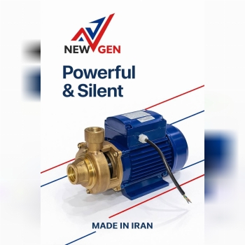 پمپ نيم اسب محيطي برنزي Fm45br نيوژن