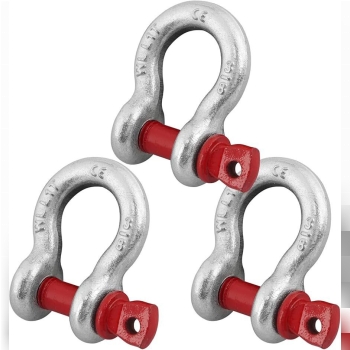 شگل تناژداریا (شگل نعلی) که به آن پین قرمز نیز میگ