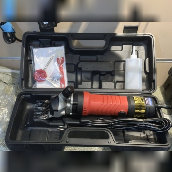 پشم زن گوسفندی