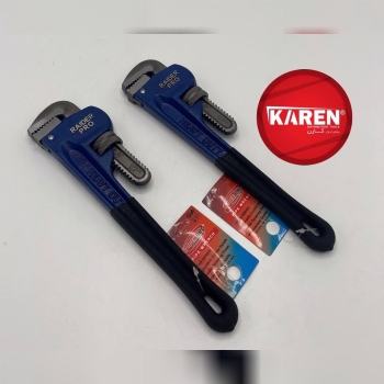  شلاقی ۱۴ رایدر پرو