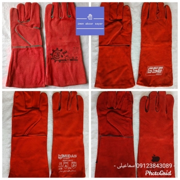 پخش انواع دستکش هبارت 