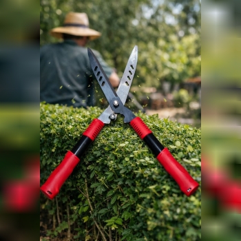 قیچی شمشاد زن