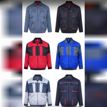 تولید و پخش