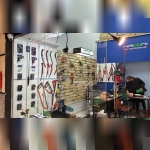 هاوونی
