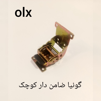 گونیا تاشو