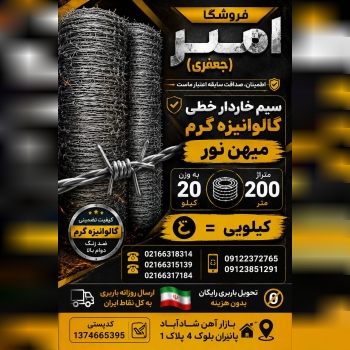 سیم خاردار خطی گالوانیزه گرم