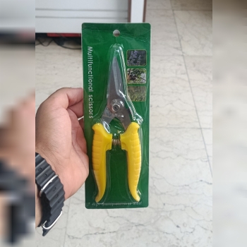  قیچی میوه چین 