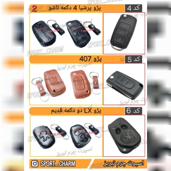 کاتالوگ کاور ریموت چرم طبیعی 2