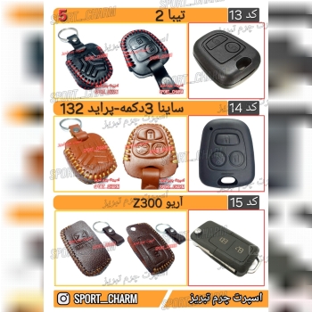 کاتالوگ کاور ریموت چرم طبیعی 5
