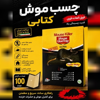 چسب موش