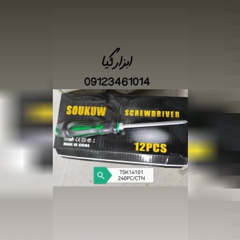  پیچگوشتی دو طرفه ۶/۱۰۰