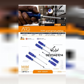  پیچگوشتی ۶ عددی ARG 