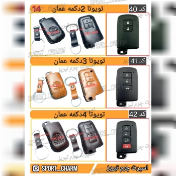 کاتالوگ کاور ریموت چرم طبیعی 14