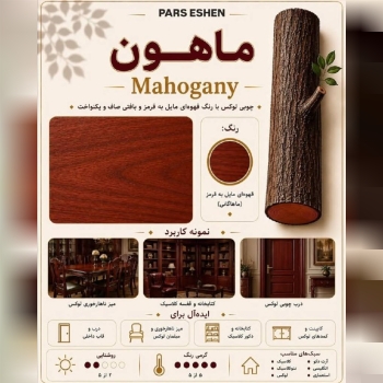 فروشگاه رنگ و ابزار و یراق علی مرادی و پسران