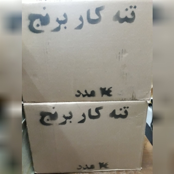 پودر تنه کار رسید 