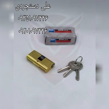 سیلندر ۲/۵ داک DAK کارتن ۲۰۰ عدد ارسال بار به تمام