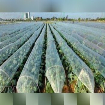 نایلون کشاورزی 