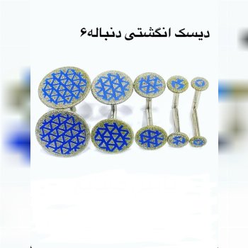 دیسک انگشتی یا الکترو پلیت