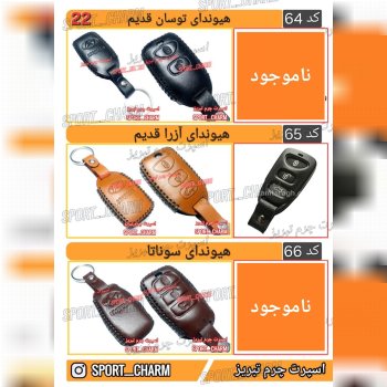 کاتالوگ کاور ریموت چرم طبیعی 22