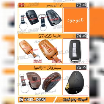 کاتالوگ کاور ریموت چرم طبیعی 25
