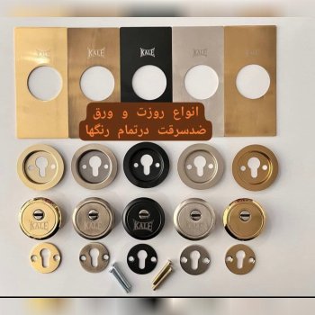 رزت ضددیلم