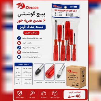  پیچ گوشتی ضربه خور 6 عددی دراگون