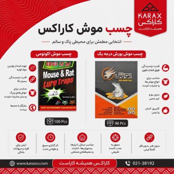  چسب موش کاراکس؛ انتخابی مطمئن برای کنترل آفات!